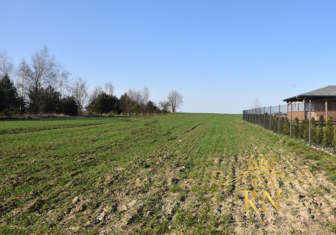 Działka przemysłowo-handlowa na sprzedaż Kunów  1 000m2 Foto 1