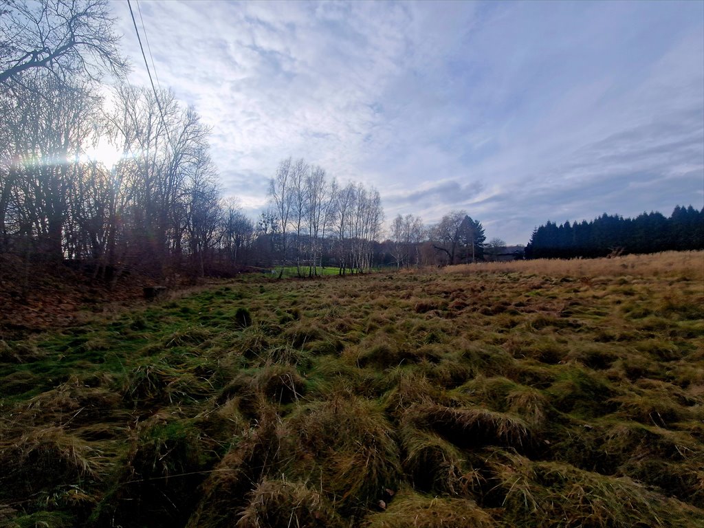 Działka inwestycyjna na sprzedaż Łaziska Górne, Rybnicka  5 119m2 Foto 3