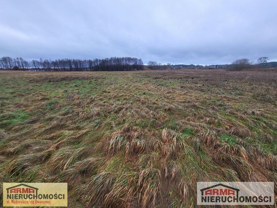 Działka rolna na sprzedaż Szadzko  11 600m2 Foto 5