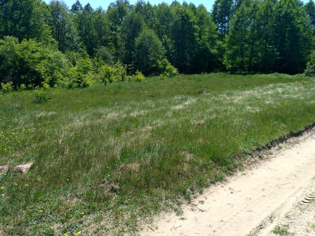 Działka rekreacyjna na sprzedaż Kuligów  25 000m2 Foto 3