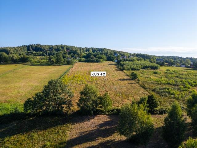 Działka budowlana na sprzedaż Oblęgór, Studzianki  12 500m2 Foto 1