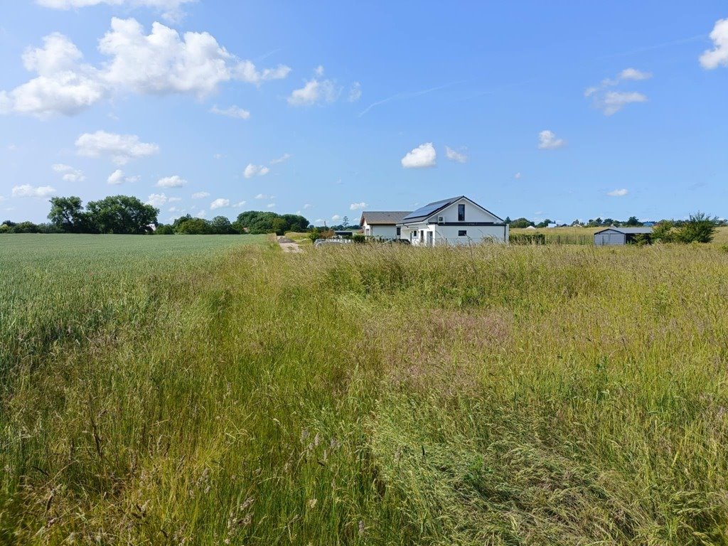 Działka rolna na sprzedaż Warzymice, Rubinowa  3 027m2 Foto 1