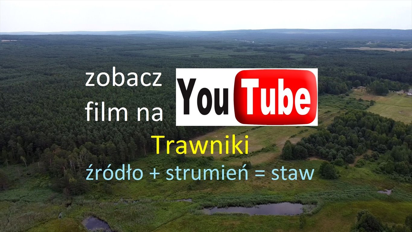 Do sprzedania działka rolna 5,87ha z lasem i dopłatami Trawniki  58 700m2 Foto 1