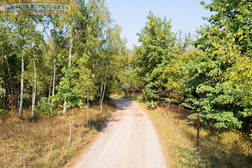 Działka siedliskowa na sprzedaż Tomaszówka  14 800m2 Foto 9