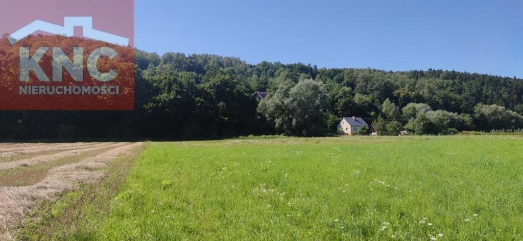 Działka budowlana na sprzedaż Rożnów  1 600m2 Foto 4