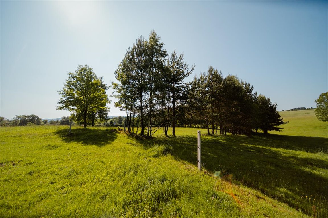 Działka budowlana na sprzedaż Mieroszów, Działka widokowa w Górach Kamiennych  403m2 Foto 1