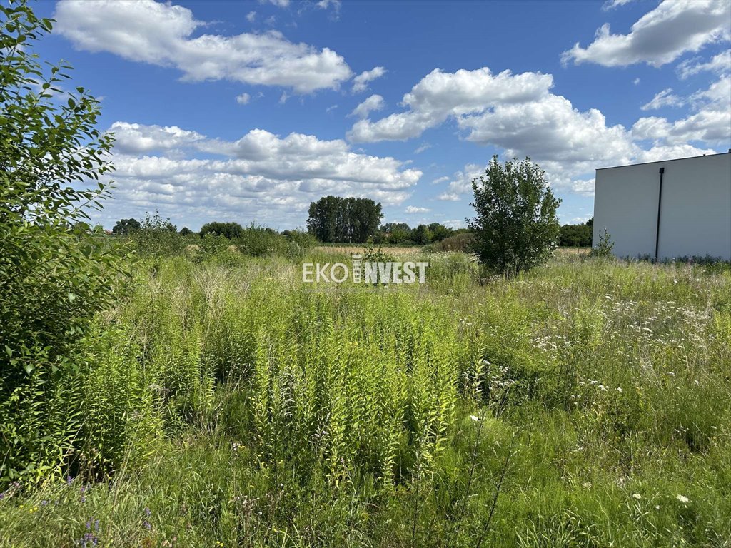 Działka inna na sprzedaż Pułtusk, Pułtusk  1 010m2 Foto 3