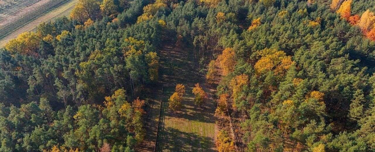 Działka budowlana na sprzedaż Ostrołęka  1 500m2 Foto 5