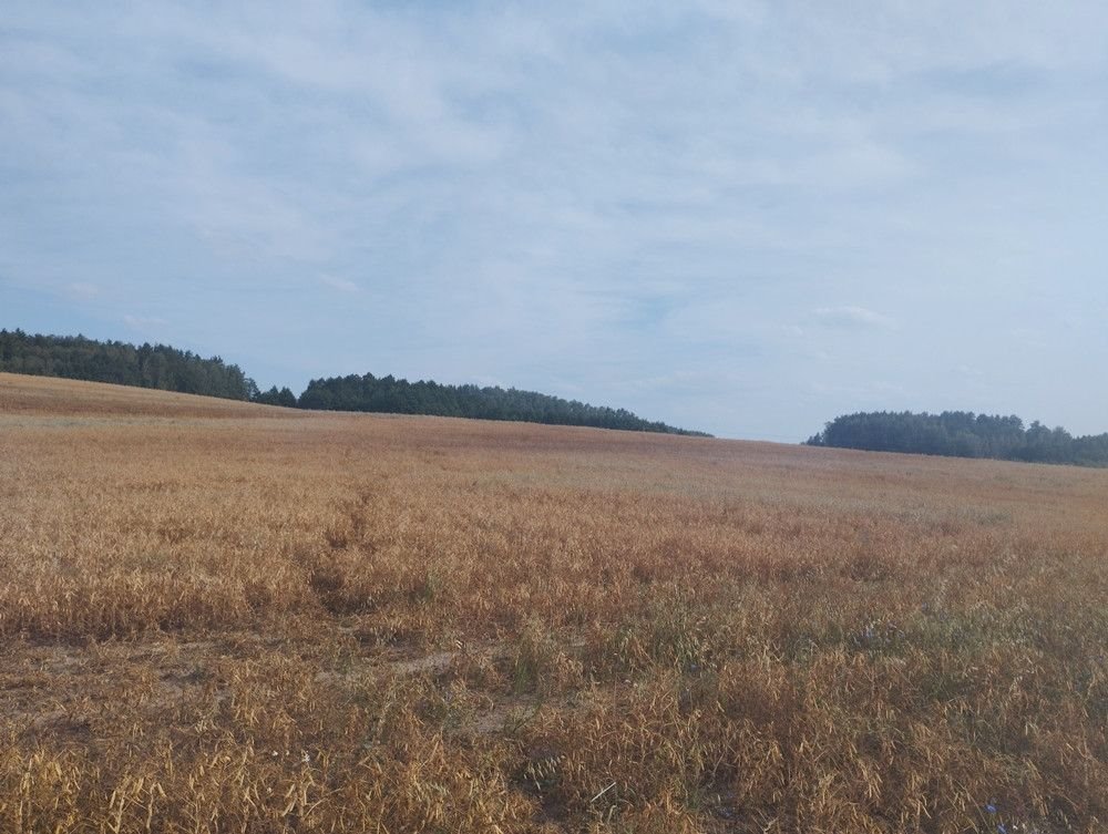 Działka budowlana na sprzedaż Nowosady  2 102m2 Foto 3