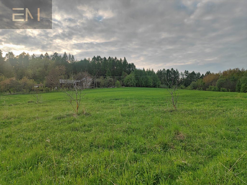 Działka budowlana na sprzedaż Hadle Kańczuckie  3 300m2 Foto 2