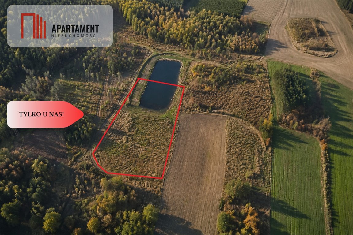 Zapraszam do zakupu działki 5370 m² z połową stawu w Biskupicach Biskupice, Łąkowa  5 370m2 Foto 1