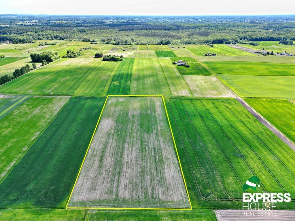 Działka rolna na sprzedaż Świerszczów  21 900m2 Foto 1