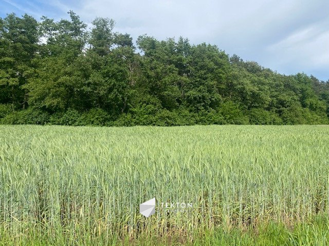 Działka budowlana na sprzedaż Karczów, Grobla  1 355m2 Foto 1