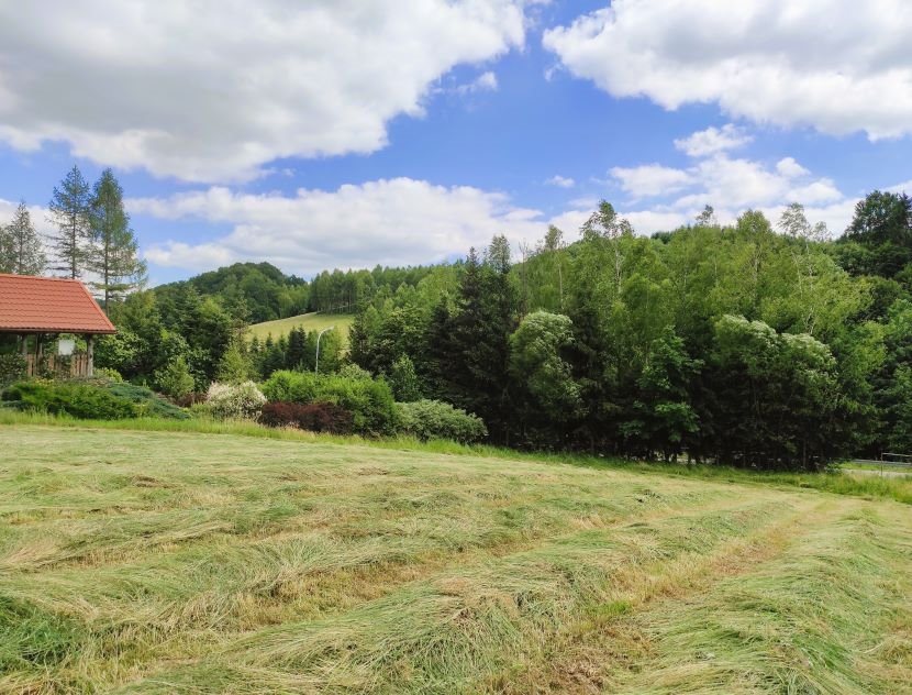 Działka budowlana na sprzedaż Teleśnica Oszwarowa  24 700m2 Foto 4