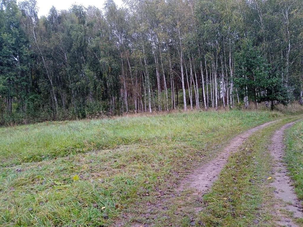 Działka rolna na sprzedaż Szadzko  25 300m2 Foto 1