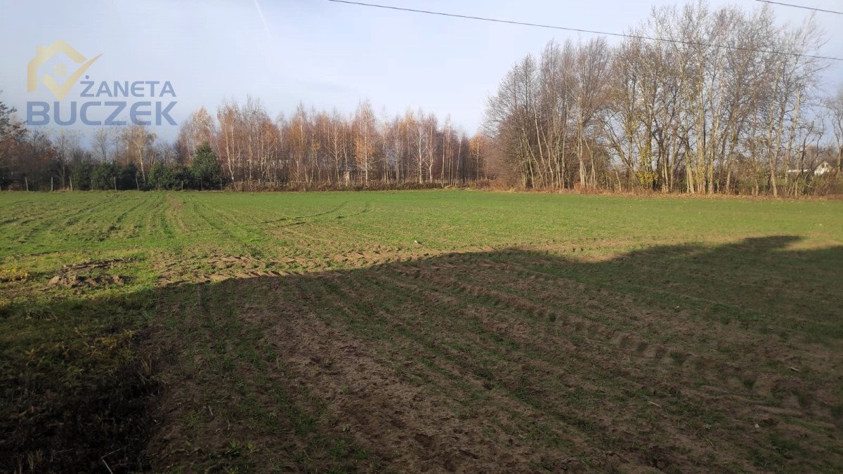 Działka budowlana na sprzedaż Lubiejew  1 000m2 Foto 1