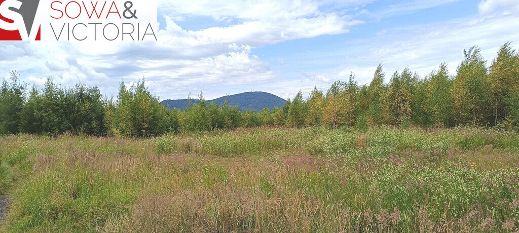 Działka usługowa 14 400 m² z widokiem na Chełmiec Wałbrzych, Gaj  14 400m2 Foto 1