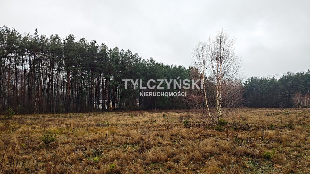 Działka budowlana na sprzedaż Krzyżówka  1 020m2 Foto 2