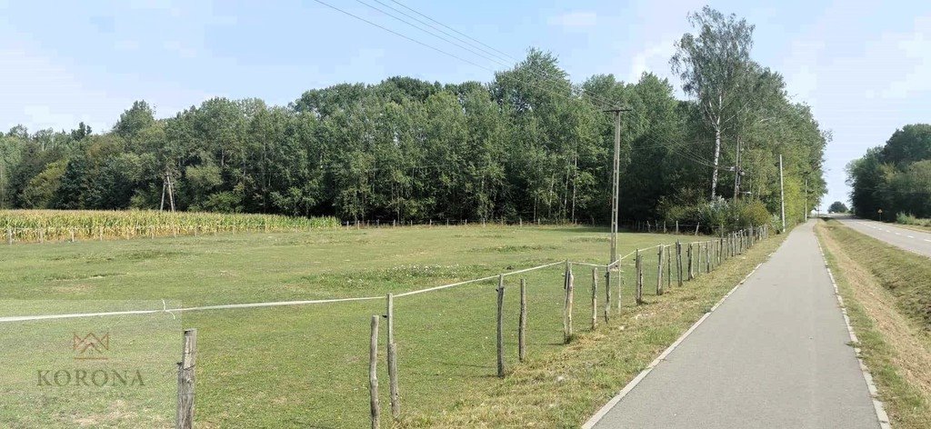 Działka budowlana na sprzedaż Folwarki Małe  1 181m2 Foto 3