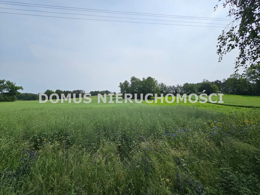Działka 3220 m2 pod dom lub inwestycję w Gałkówek-Parcela Gałkówek-Parcela  3 220m2 Foto 1