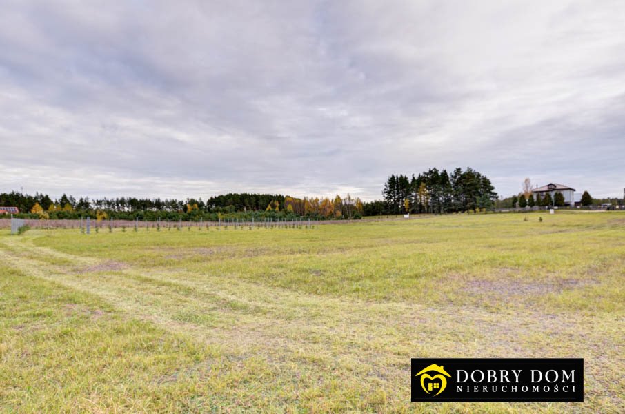 Działka budowlana na sprzedaż Danowskie  1 001m2 Foto 8