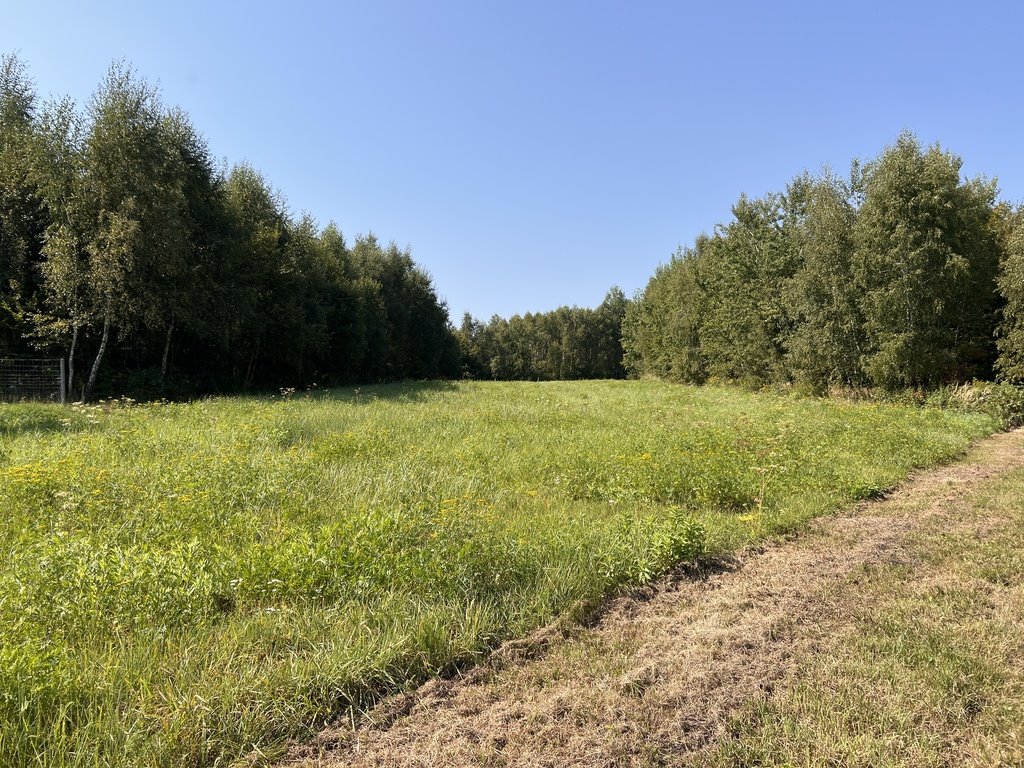 Działka budowlana na sprzedaż Nowy Borek  8 060m2 Foto 7