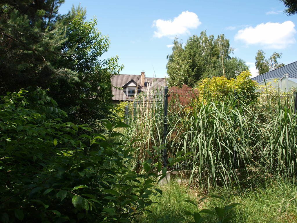 Działka budowlana na sprzedaż Stara Wieś  1 000m2 Foto 4