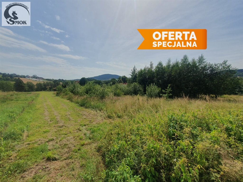 Działka 31a pod zabudowę w Żegocinie - cicha okolica Żegocina  3 100m2 Foto 1
