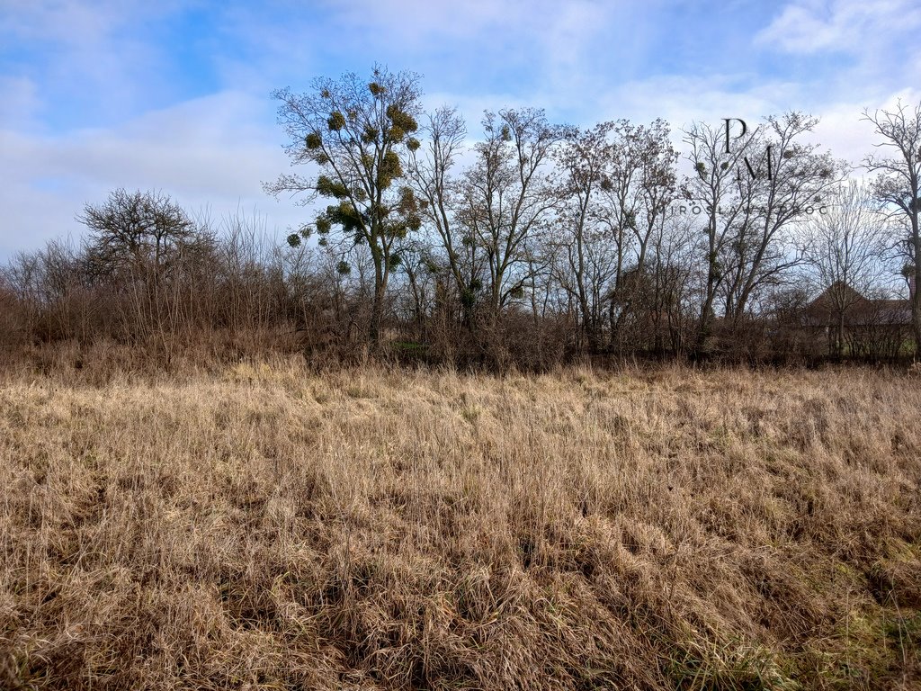 Działka budowlana na sprzedaż Piskorzyna  2 296m2 Foto 7