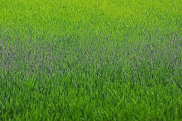 Działka inna na sprzedaż Rzgów 1 200m2 Foto 1 Działka inna na sprzedaż Rzgów 1 200m2 Foto 1