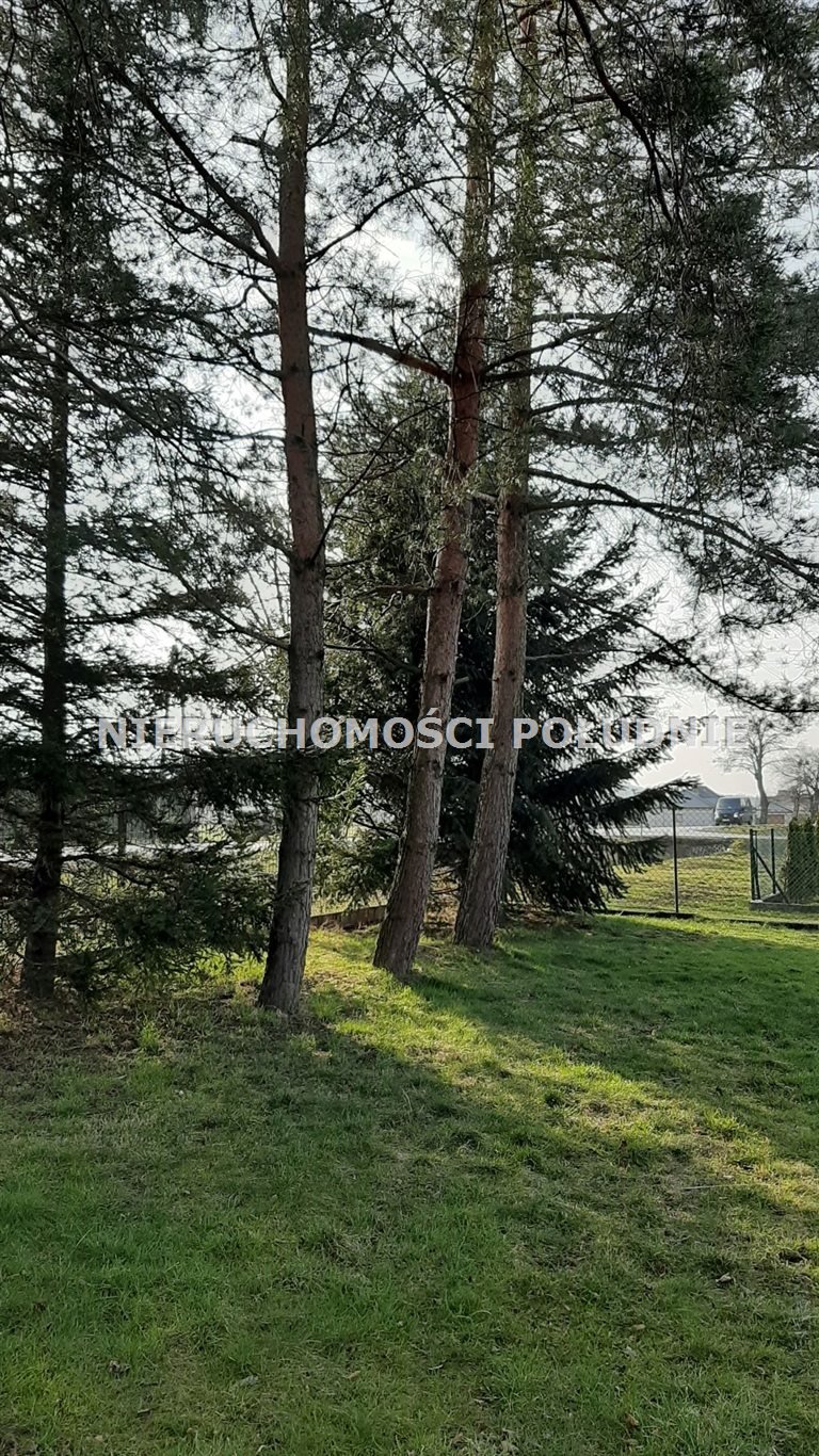 Dom na sprzedaż Cisownica, Ustrońska  276m2 Foto 5