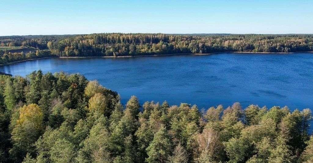 Działka rolna na sprzedaż Ramsowo  6 195m2 Foto 1