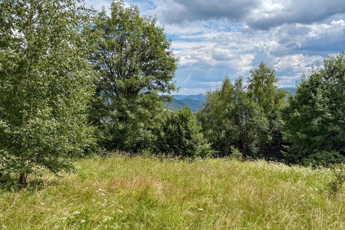 Widokowa działka 4634 m² w Ochotnicy – cisza i natura Ochotnica Dolna  4 634m2 Foto 1