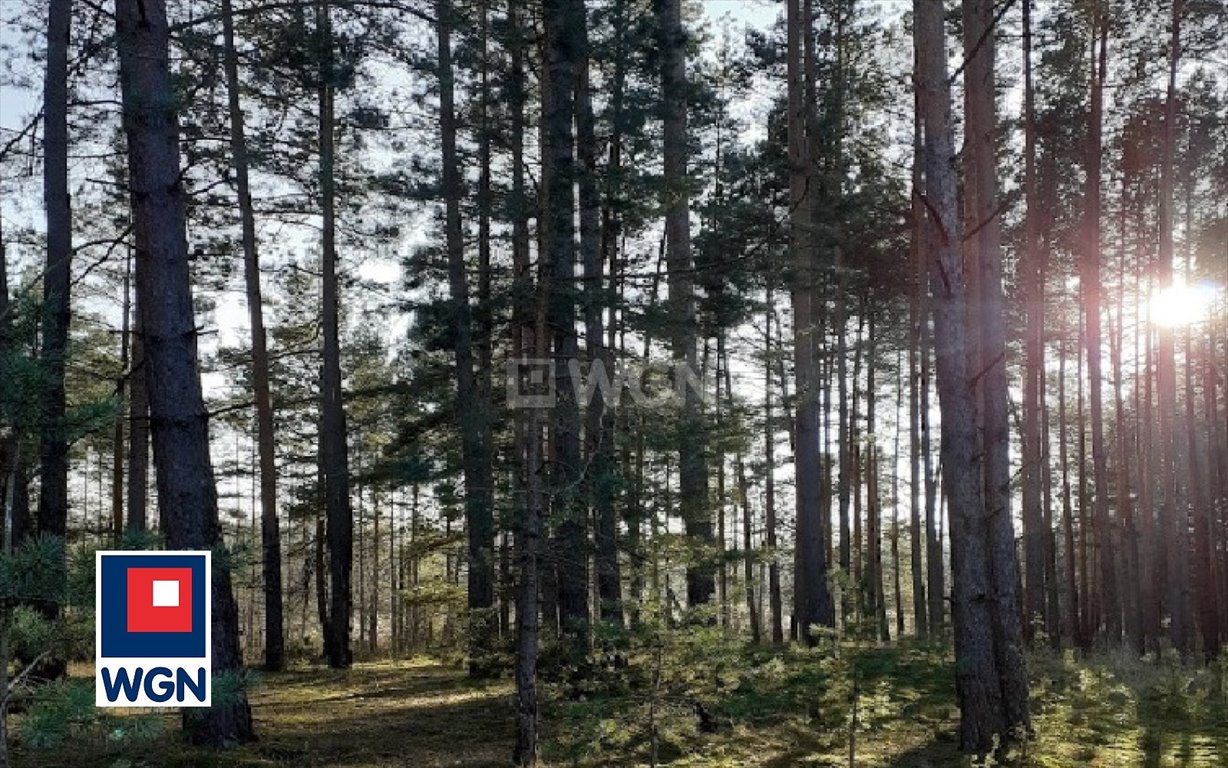 Działka leśna na sprzedaż Patrzyków, Patrzyków  19 200m2 Foto 1
