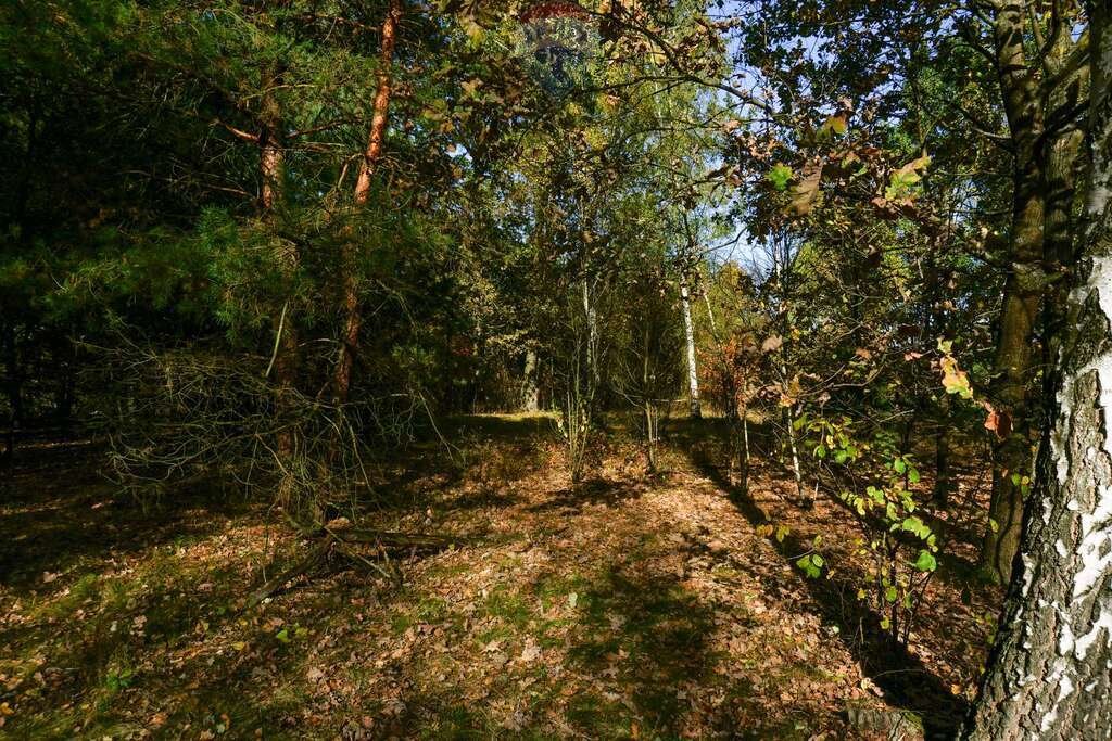 Działka budowlana na sprzedaż Puszcza Mariańska, Akacjowa  1 795m2 Foto 3