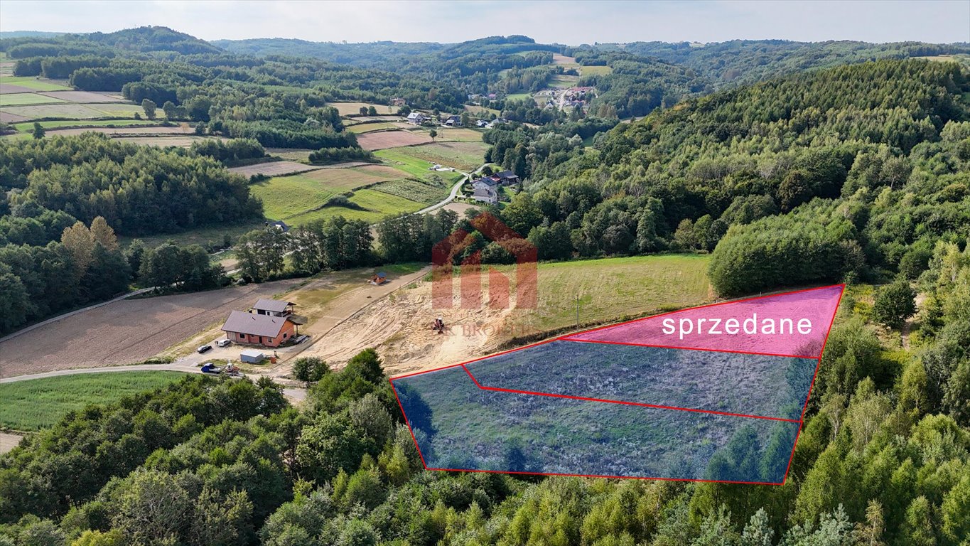 Działka budowlana na sprzedaż Niedźwiada  2 480m2 Foto 13