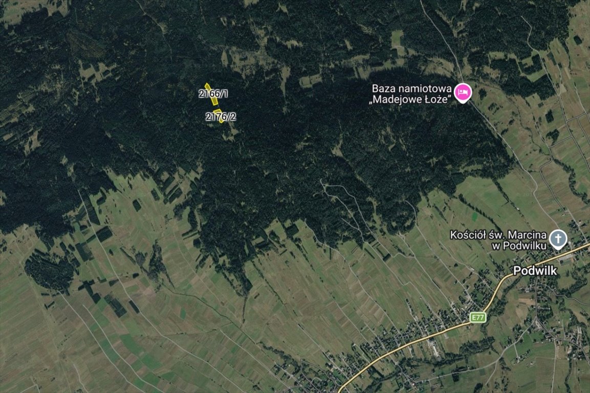 Zapraszam do zakupu leśnych działek 12 353 m² w Podwilku Podwilk  12 353m2 Foto 1