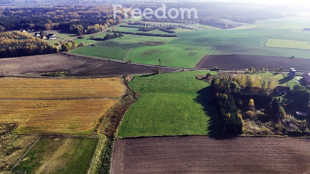 Działka budowlana na sprzedaż Frednowy  12 607m2 Foto 5