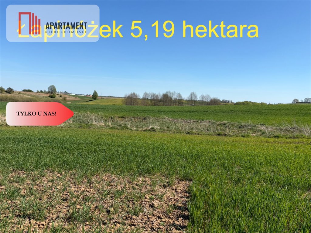 Działka rolna 5,19 ha w Łapinóżku, spokojne tereny - polecam! Łapinóżek  51 900m2 Foto 1
