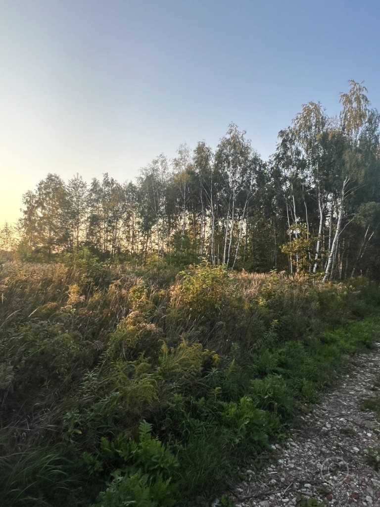 Działka inna na sprzedaż Józefów, Leonardów  1 178m2 Foto 3