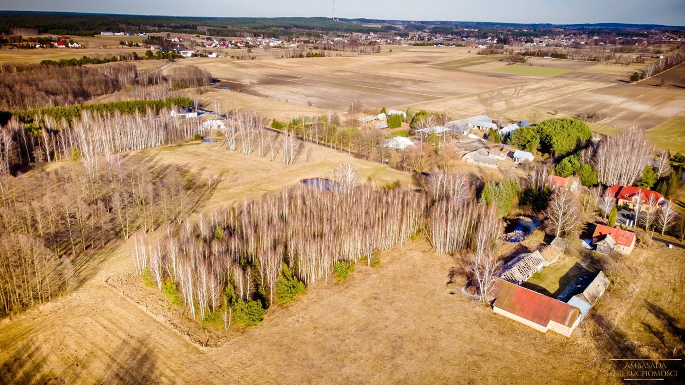 Działka inna na sprzedaż Dobrzyniewo Duże, Gniła  12 000m2 Foto 5