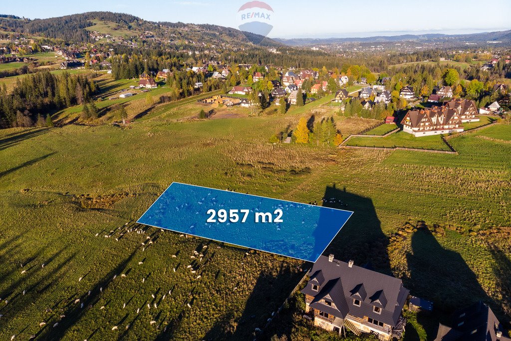 Działka rolna na sprzedaż Kościelisko  2 957m2 Foto 5