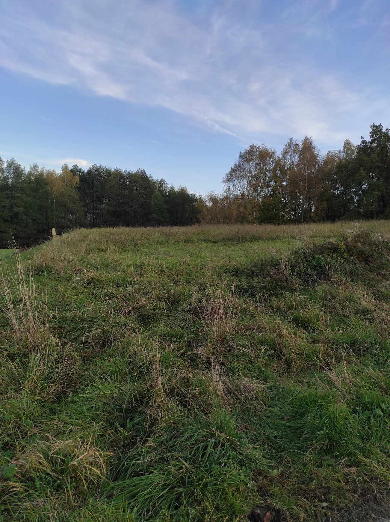 Działka inna na sprzedaż Mogielnica  1 700m2 Foto 6