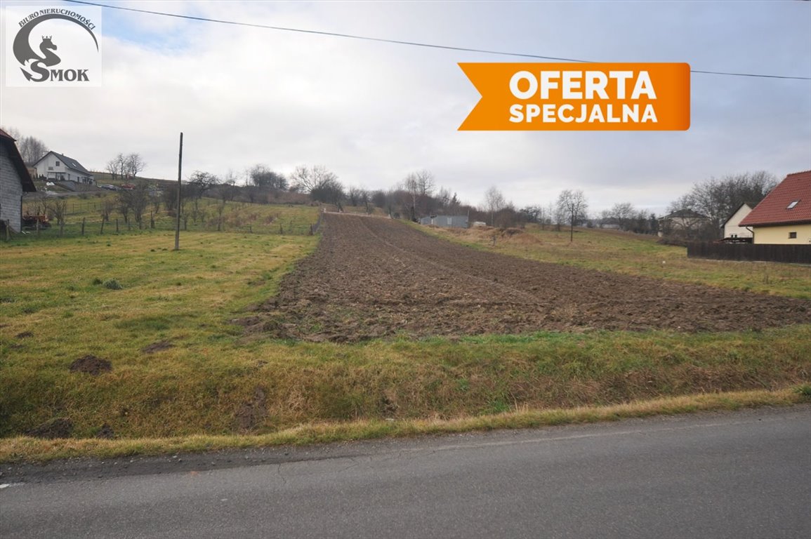 Działka 80a z widokiem, media, las, Wilczkowice - polecam! Wilczkowice  8 060m2 Foto 1