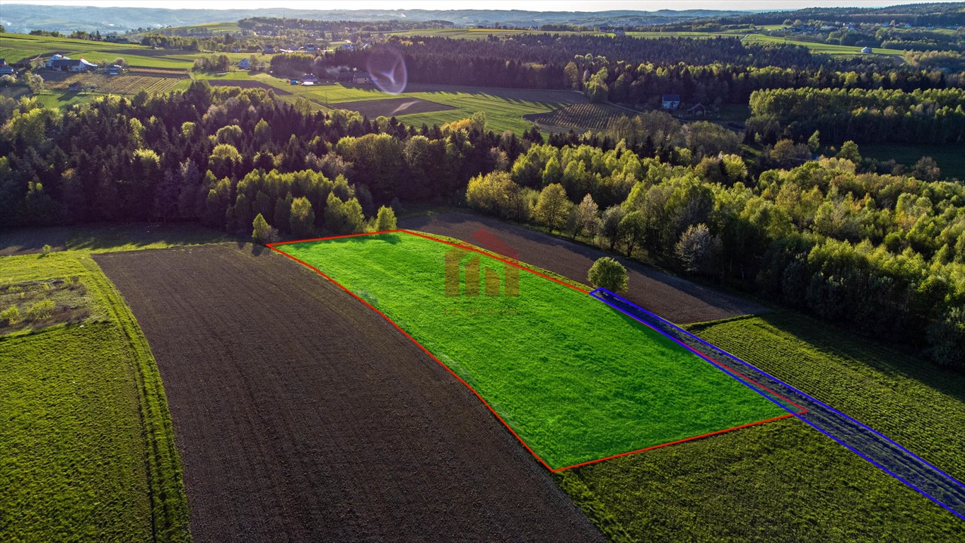 Działka rekreacyjna na sprzedaż Szkodna  4 000m2 Foto 2