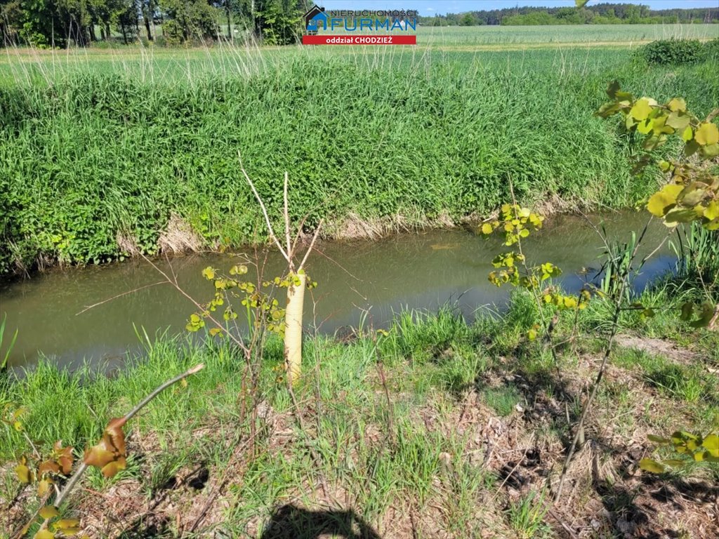 Działka inna na sprzedaż Budzyń  2 200m2 Foto 8