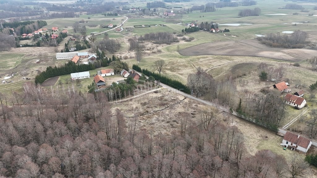 Działka rolna na sprzedaż Rogojny  3 000m2 Foto 6