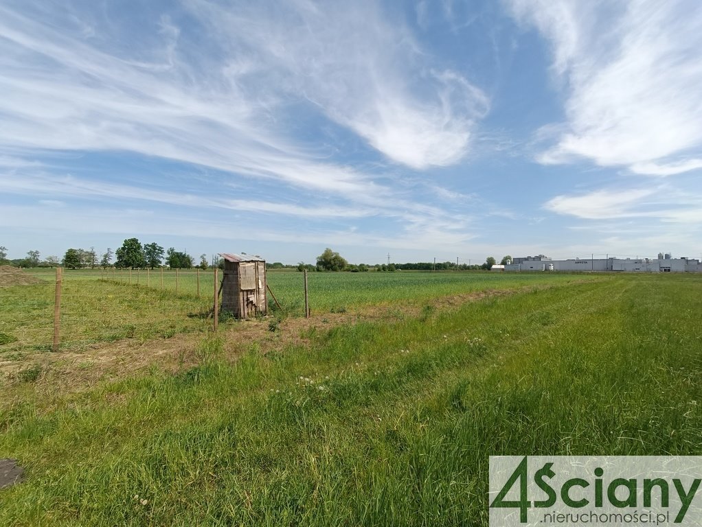 Działka budowlana na sprzedaż Wólka Grodziska  4 186m2 Foto 4