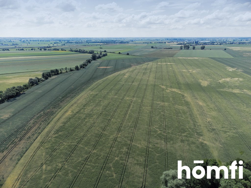 Działka budowlana na sprzedaż Tanibórz  2 000m2 Foto 4