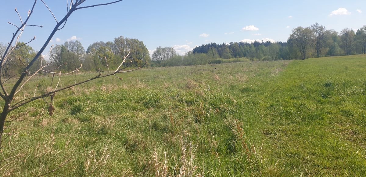 Działka budowlana na sprzedaż Józefów, Józefów gmina Dąbrówka  10 744m2 Foto 1